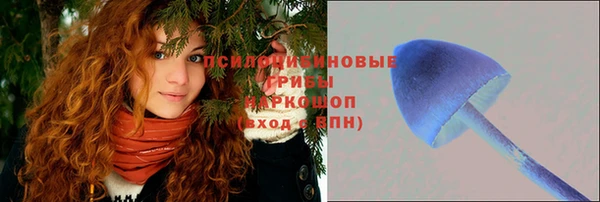 кристаллы Алзамай