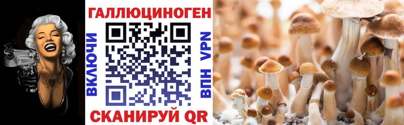 Псилоцибиновые грибы ЛСД  OMG   Алексеевка 