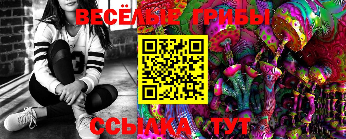 Псилоцибиновые грибы Psilocybine cubensis Алексеевка