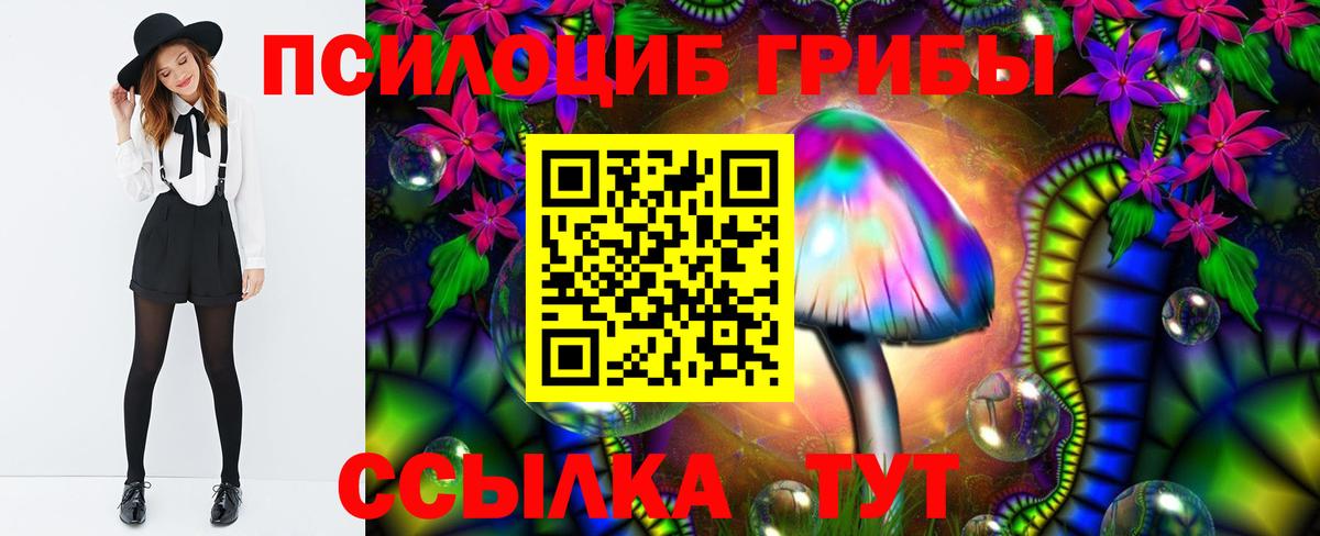 Псилоцибиновые грибы Cubensis  Псилоцибиновые грибы мицелий  Вход с VPN  Алексеевка 