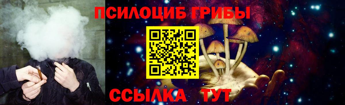 Псилоцибиновые грибы ЛСД Алексеевка