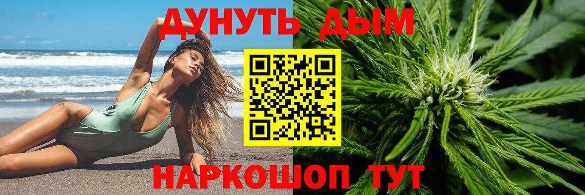 Конопля марихуана  Алексеевка  Канабис марихуана 